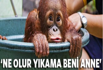 'Yıkanmayacağım işte bana ne!'