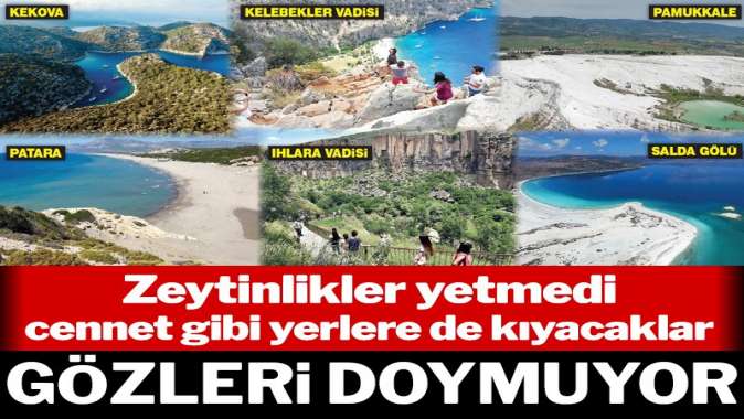 Zeytinliklerden sonra sit alanları da ranta açılıyor